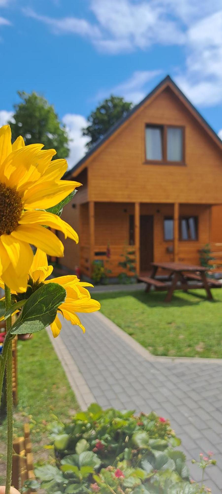 Sloneczne Domki Pustkowo, 1 Minuta Do Plazy, Exterior foto
